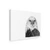 Trademark Fine Art Let Your Art Soar 'Bald Eagle Line Art' Canvas Art, 14x19 ALI42497-C1419GG